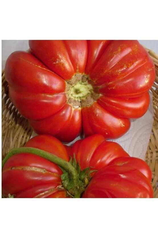 5000 Adet Köylü Domatesi Tohumu