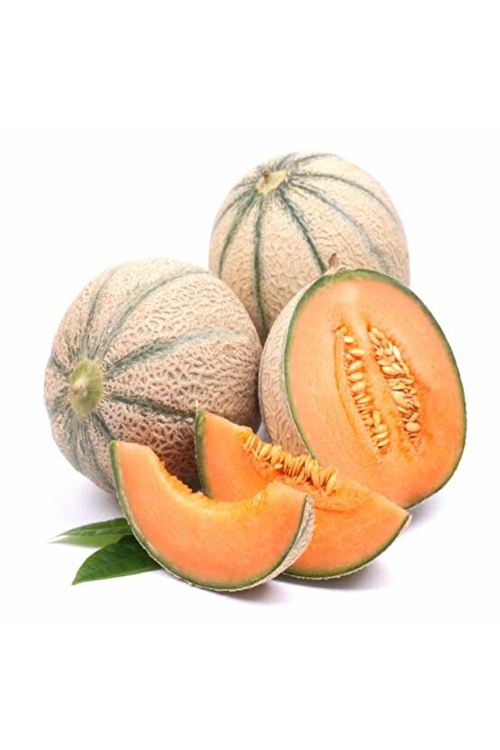 2000 Adet Karışık Cinste Köylü Kavunu Ata Tohumu