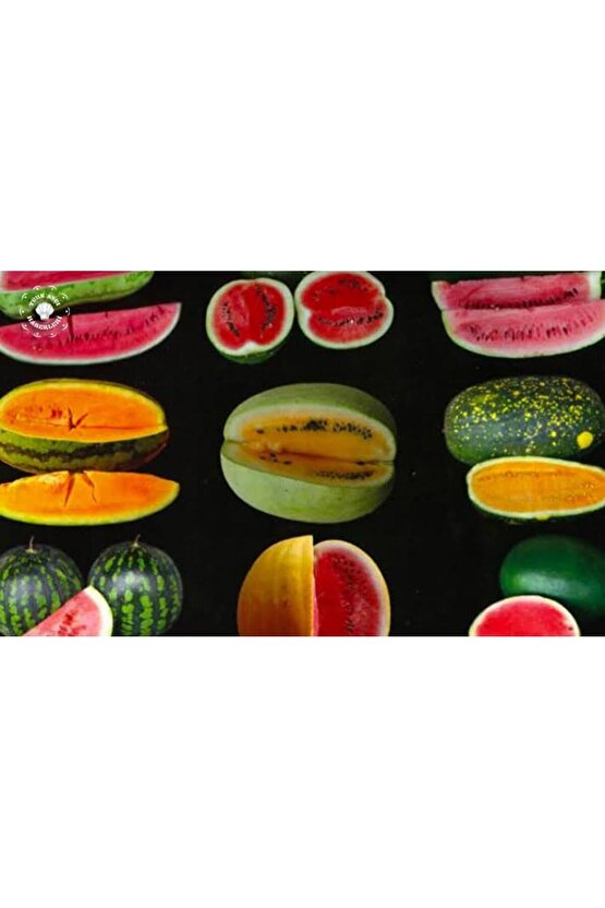 600 Adet Karpuz Tohumu