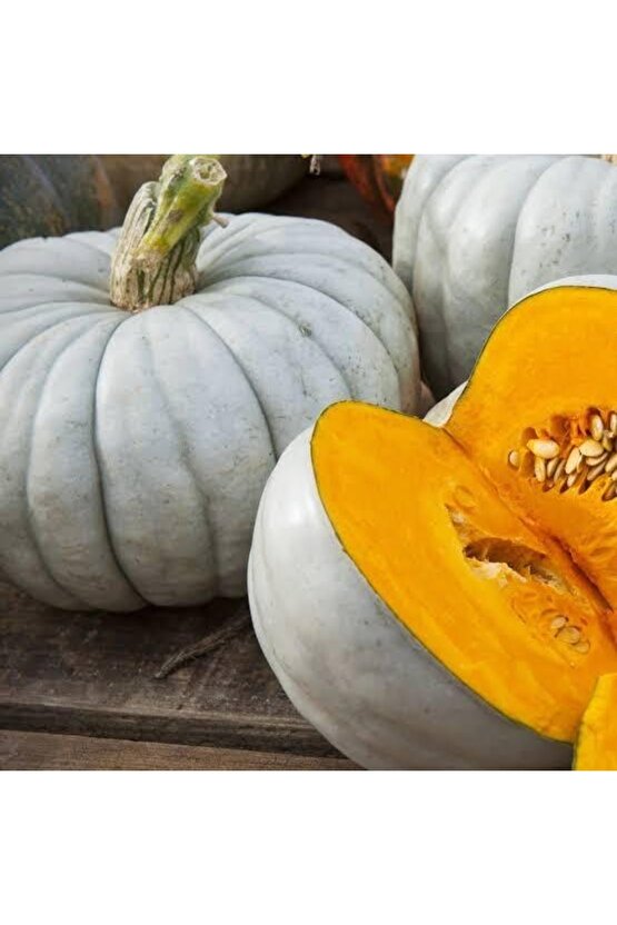 100 Adet Bal Kabağı Tohumu (çok Büyüyen Lezzetli Kestane Bal Kabağı)