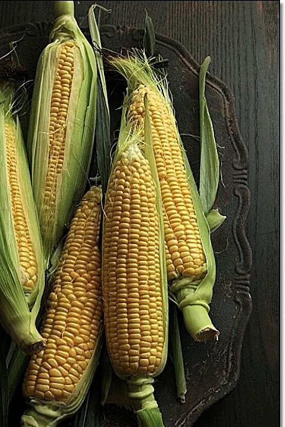 Mısır Tohumu 100 Adet