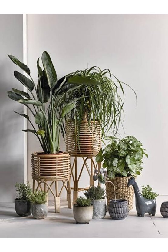 13 Litre Salon Bitkileri Için Özel Torf