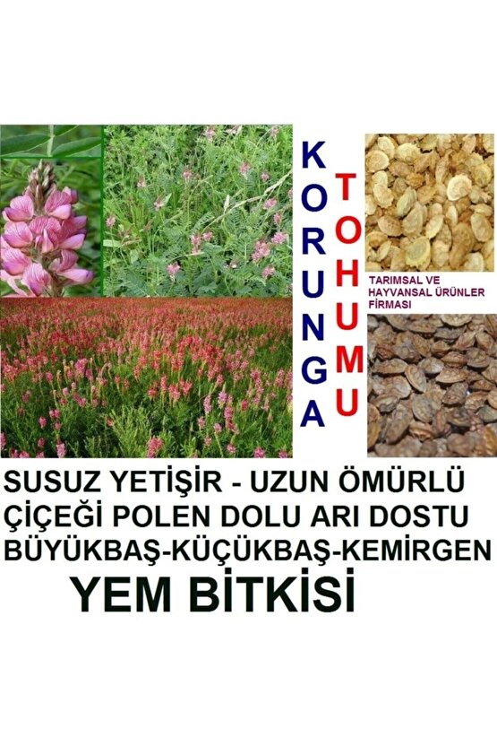 20.000 Adet Kemirgen Yemi Korunga Tohumu