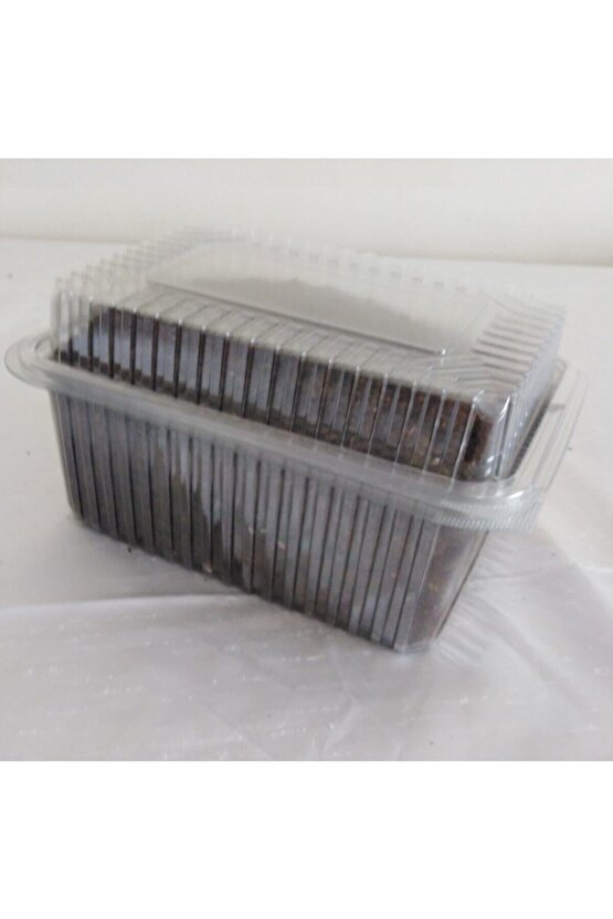 Kültür Mantarı Tohumu Ekili Kutu + Eğitim Kılavuzu