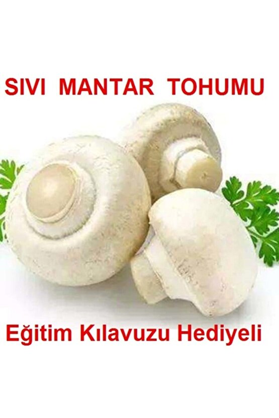 100 ml Kültür Mantarı Tohumu
