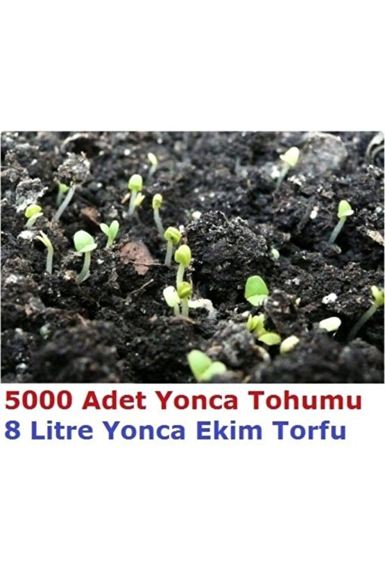 Kutuda 5000 Adet Yonca Tohumu Ve 8 Litre Ekim Torfu