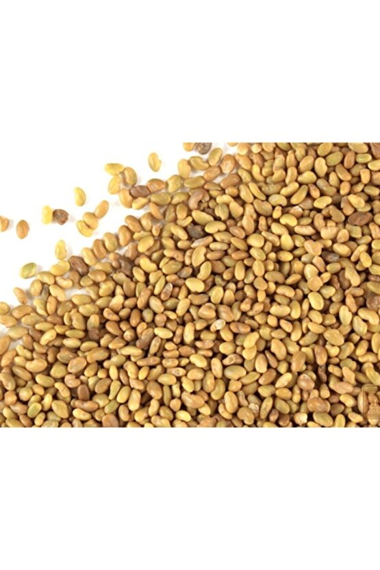 Yonca Tohumu (20.000 Adet)