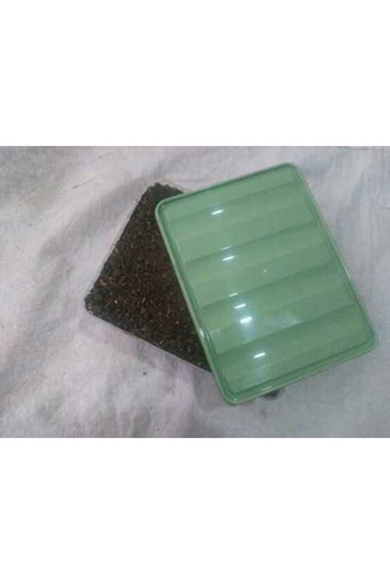 Beyaz Şapkalı Kültür Mantarı Tohumu Ekili Kutu Ve Yönerge