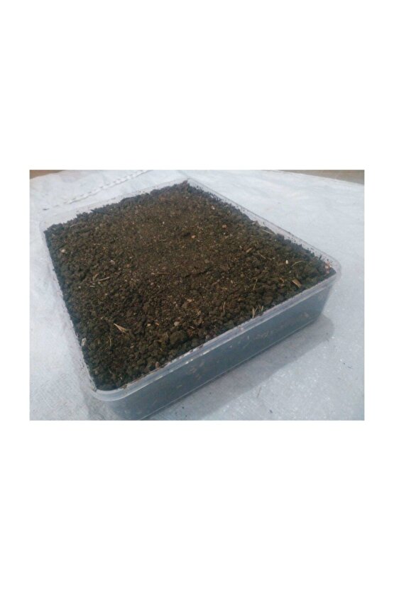 Özel Kutusunda Yönerge Hediyeli Kültür Mantarı Deneme Kiti