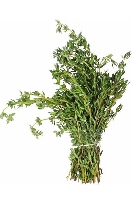 Yerli Taze Kekik Tohumu 100 Adet