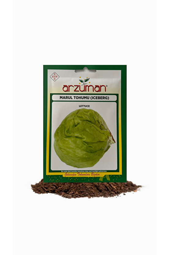 MARUL TOHUMU(ICEBERG)