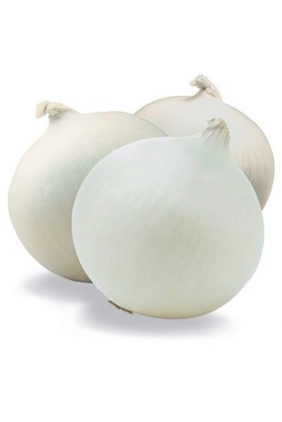 Beyaz Soğan Tohumu 1500 Adet