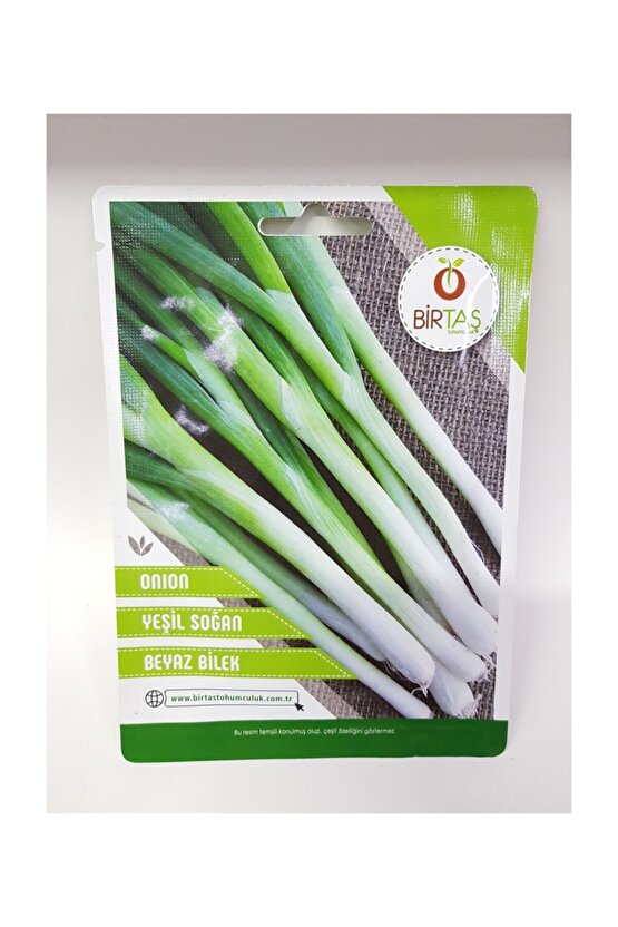 Yeşil Soğan Tohumu