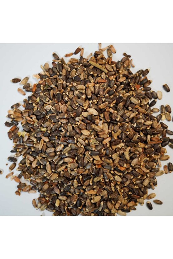 Deve Dikeni Tohumu 100 Gr