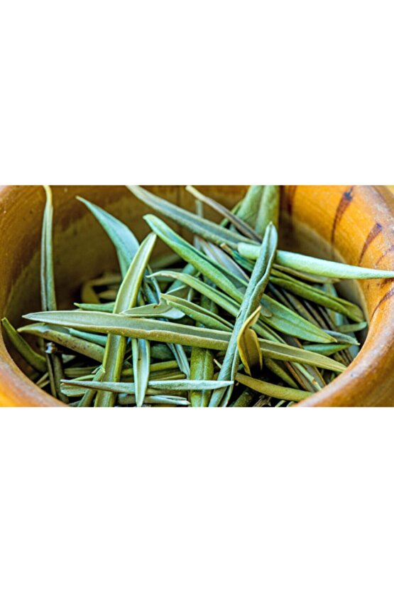 Dogal Zeytin Yaprağı Kurusu 100 Gr.