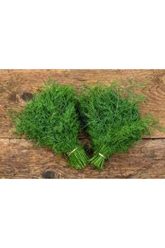 100 Adet Tohum Sebze Dere Otu Tohum Sürpriz Hediye Tohum Yeşil Dere Otu Ata Tohumlar