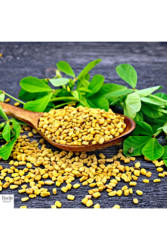 50 Gr - Çemen Otu Tohumu ( Yeni Mahsül)