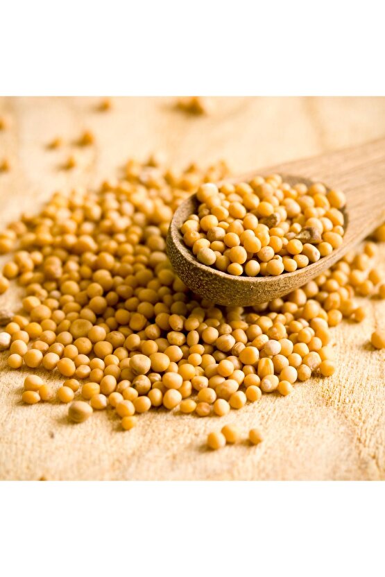 Hardal Sarı Tane Tohumu - 100 gr