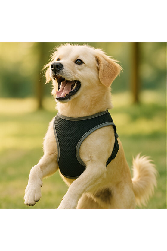 S-M-L Yıkanabilir Mesh Fileli Göğüs Tasması Nefes Alabilir Terletmez Dayanıklı Klipslı Cırtlı Tasma