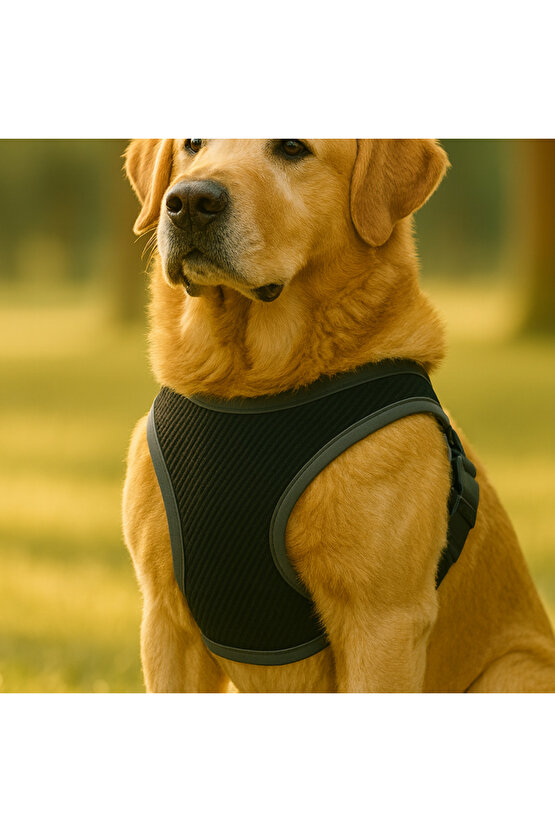 S-M-L Yıkanabilir Mesh Fileli Göğüs Tasması Nefes Alabilir Terletmez Dayanıklı Klipslı Cırtlı Tasma