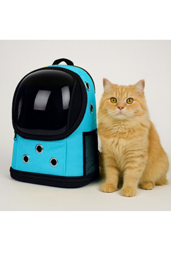 Yıkanabilir Şeffaf Kedi ve Köpek Taşıma Çantası 7 Hava Kanalı Fileli Ceplerle Pratik Kullanım Mavi