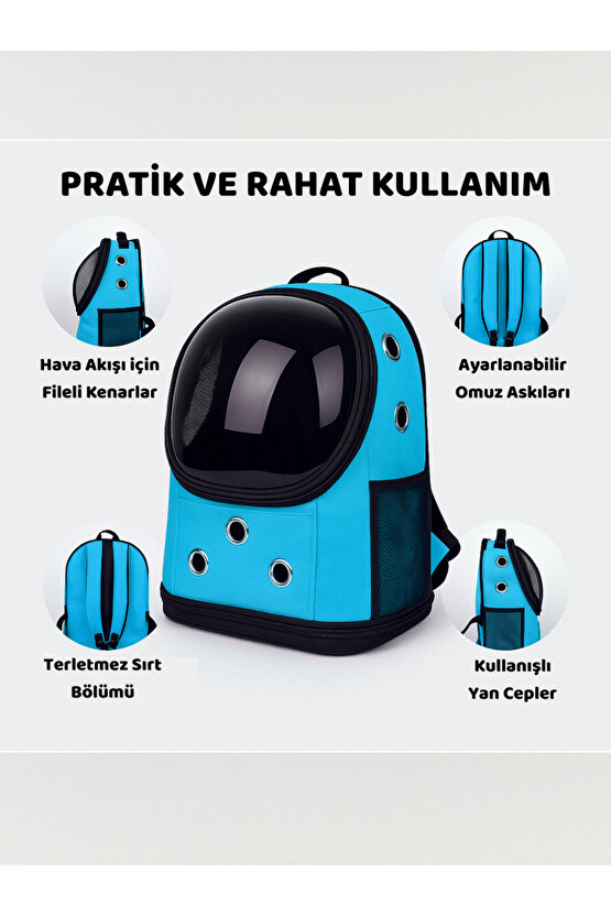 Yıkanabilir Şeffaf Kedi ve Köpek Taşıma Çantası 7 Hava Kanalı Fileli Ceplerle Pratik Kullanım Mavi