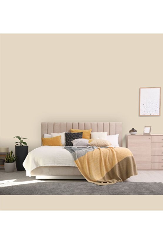 Momento Max Tam Silinebilir Ve Yıkanabilir Silikonlu Iç Cephe Boyası