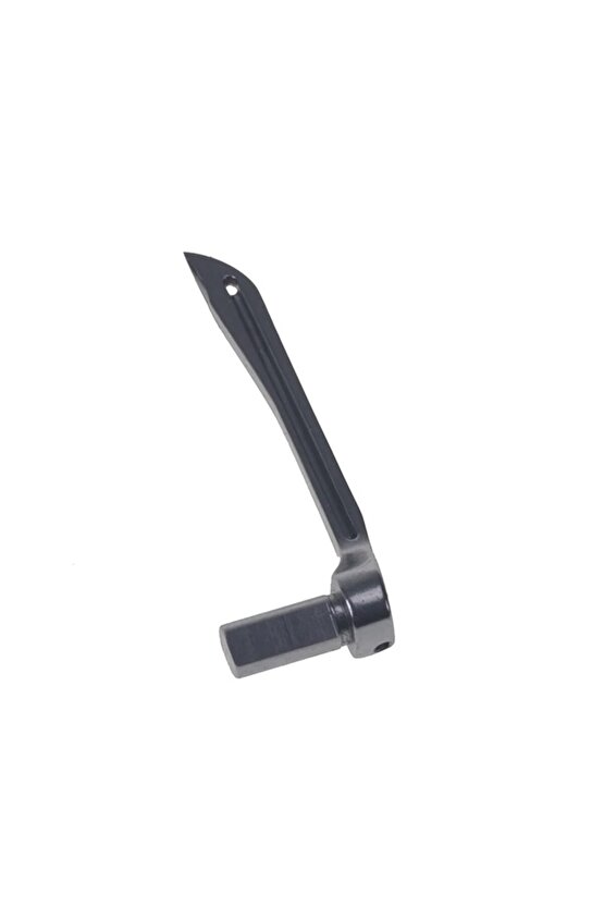 Pegasus Reçme Burunlu Lüperi  257566