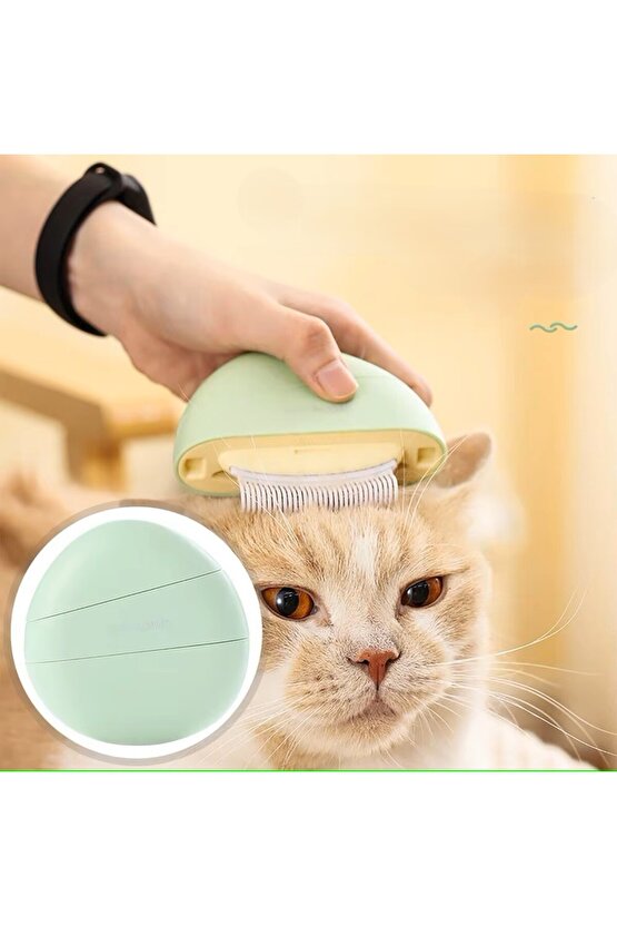Kedi Bakım Tarağı Temizleme Fırçalı, Masaj Etkili Tüy Dökme Önleyici Tarak 3’ü 1 Arada