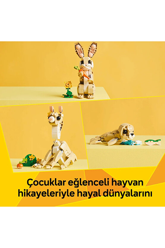 ® Creator 3’ü 1 Arada Sevimli Tavşan 31162 - 8+ Çocuklar için Yaratıcı Oyuncak Yapım Seti (326P)