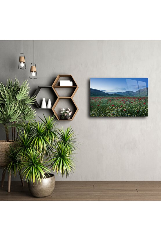 Gün Batımı Kiraz Çiçeği Kanvas Duvar Sanatı