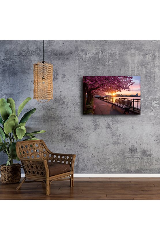 Kiraz Çiçeği Gün Batımı Park Bankı Kanvas Tablo