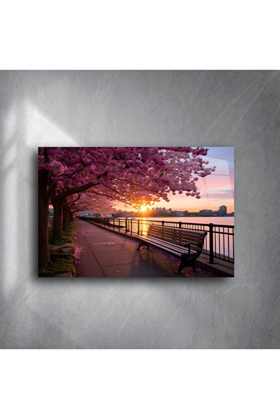 Kiraz Çiçeği Gün Batımı Park Bankı Kanvas Tablo