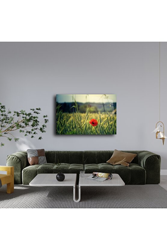 Doğada Tek Gelincik Temalı Lüks Cam Tablo