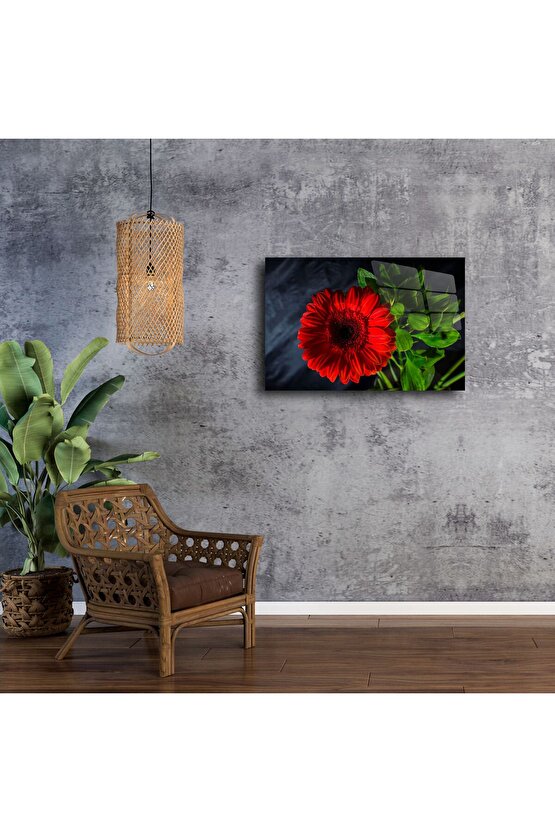Parlak Cam Üzerine Kırmızı Çiçek Tablosu
