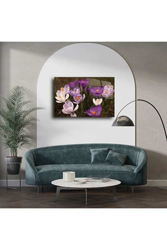 Mor Beyaz Krokus Çiçekli Cam Tablo