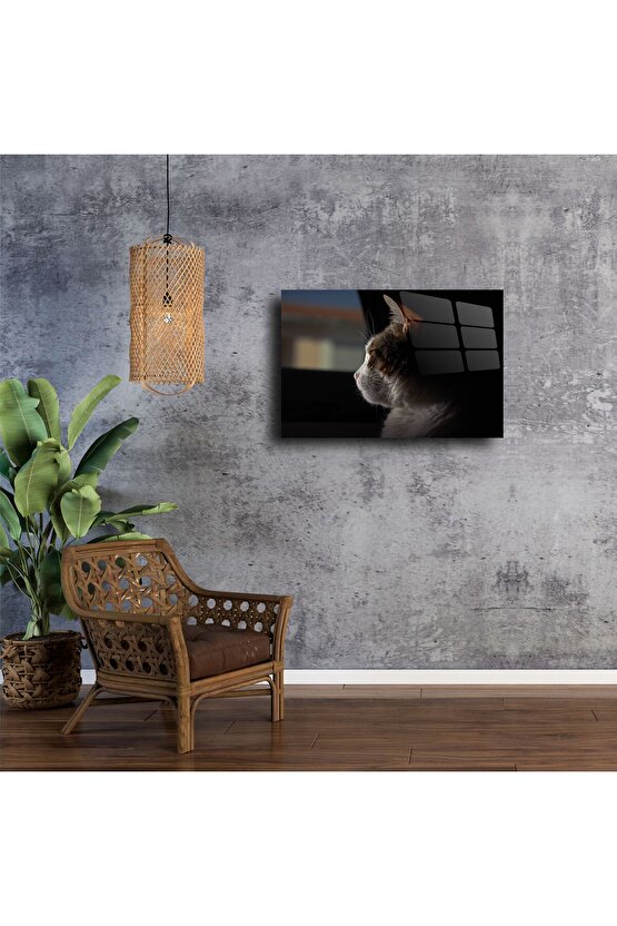 Pencereden Bakan Kedi Cam Tablo