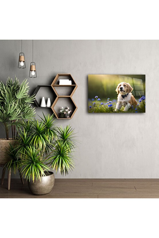 Canlı Mavi Çiçekler Arasında Oturan Sevimli Yavru Köpek Kanvas Tablo