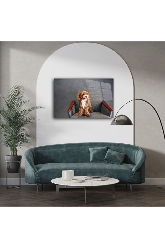 Sevimli Kahverengi Beyaz Küçük Irk Köpek Kanvas Tablo