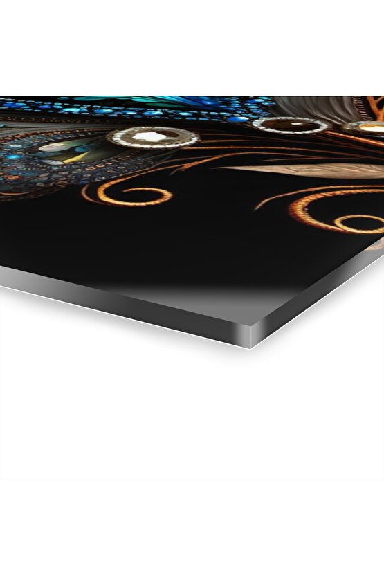 Kuş Tüyü Cam Tablo Duvar Dekoru