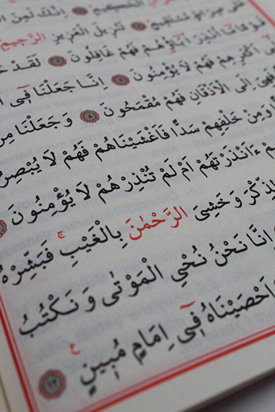 Ekonomik Hediyelik 10 Adet Yasin-i Şerif Karışık Renk 80 Shf. Orta Boy(17x24cm) QR KodMealArapça