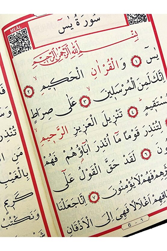 Kadife Kaplı Çanta Boy Türkçeli Yasini Şerif (10 Adet)