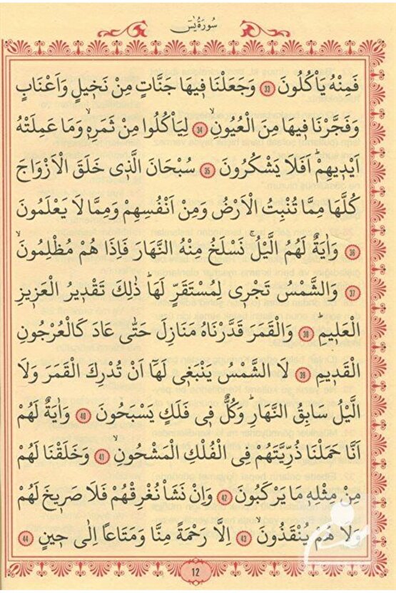 Büyük Cevşen ve Türkçe Meali (Orta Boy) Transkriptli Türkçe Okunuşu & Ashab-ı Bedir ve Celcelütiy...