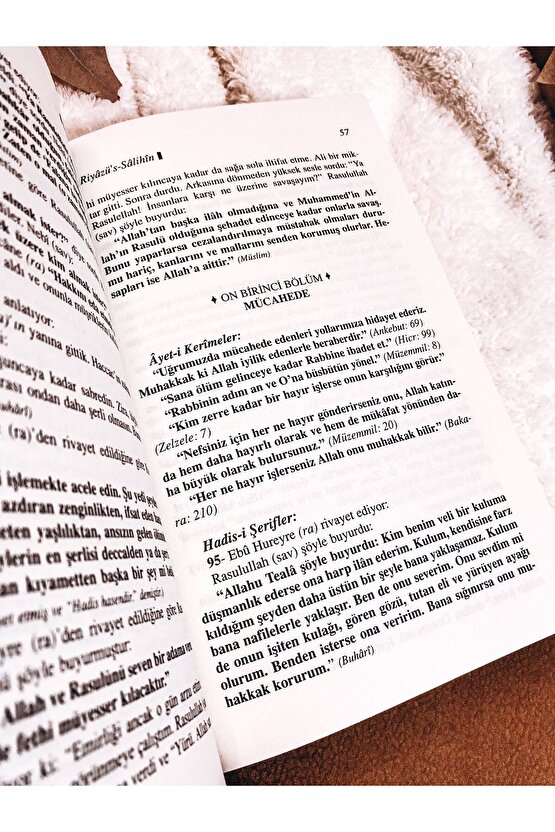 Riyazus Salihin Tercümesi (KARTON KAPAK-METİNSİZ)