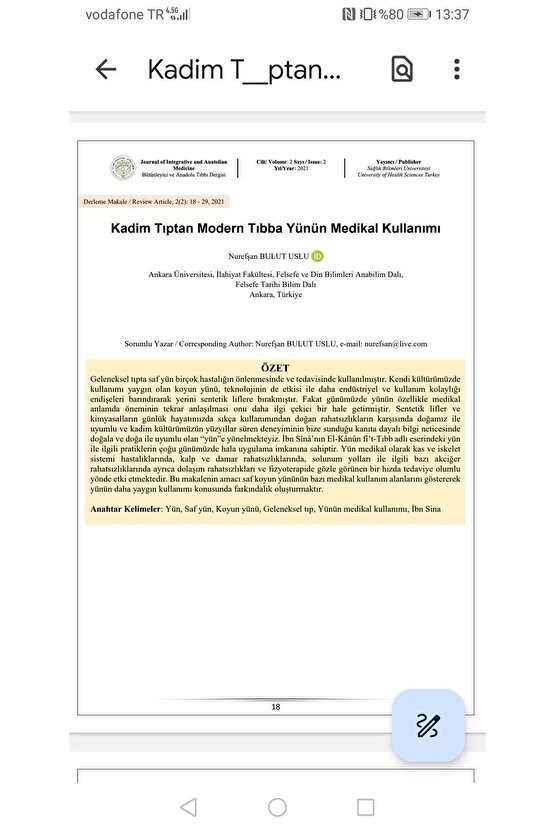 Özyün Hakiki Yün Fanila Bronşit Fanila