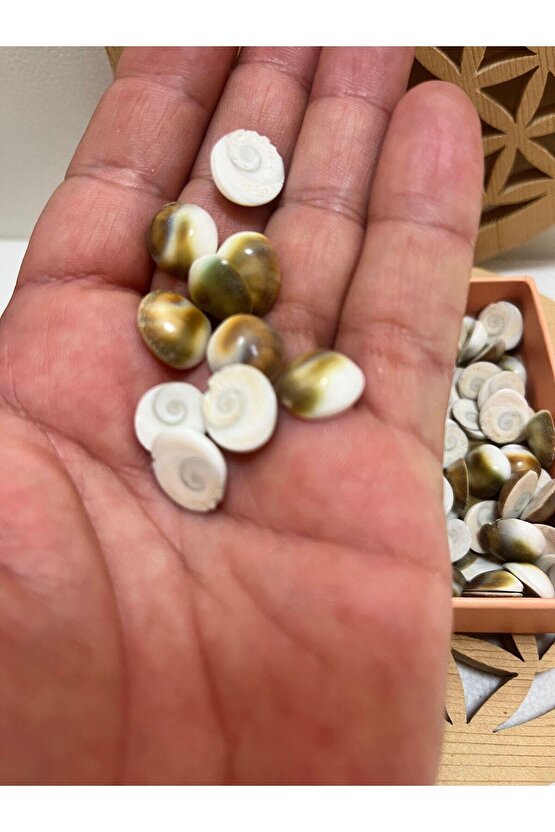 Yılancık taşı 3 adet