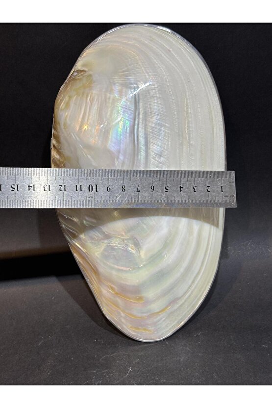 KABUK XXL GÜMÜŞ ÇERÇEVELİ