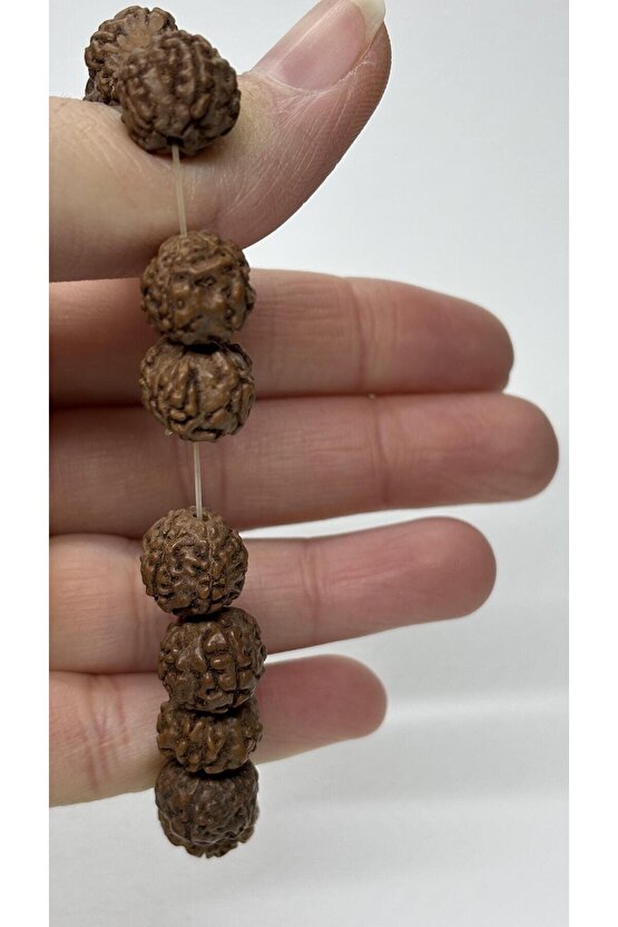 RUDRAKSHA TOHUMU HİNDİSTAN BİLEKLİK