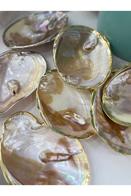 İstiridye Tabağı Kenarları Gold Kaplamalı Kabuk A Kalite