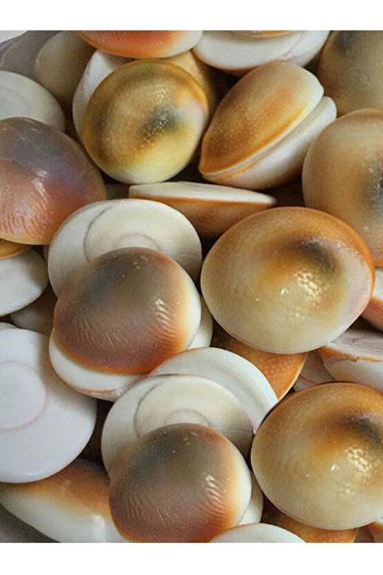 Yılancık Taşı 40 Adet